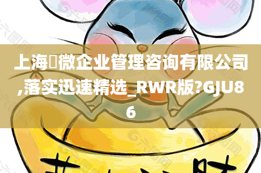 上海璟微企业管理咨询有限公司,落实迅速精选_RWR版?GJU86