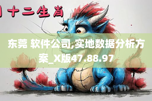 东莞 软件公司,实地数据分析方案_X版47.88.97