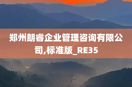 郑州朗睿企业管理咨询有限公司,标准版_RE35