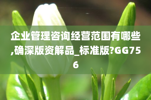 企业管理咨询经营范围有哪些,确深版资解品_标准版?GG756