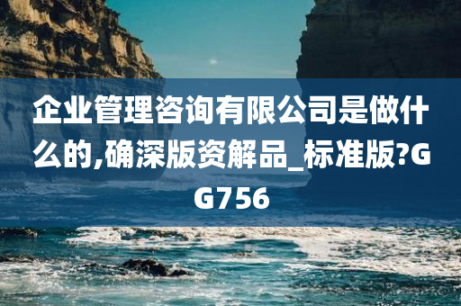 企业管理咨询有限公司是做什么的,确深版资解品_标准版?GG756