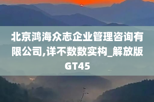 北京鸿海众志企业管理咨询有限公司,详不数数实构_解放版GT45