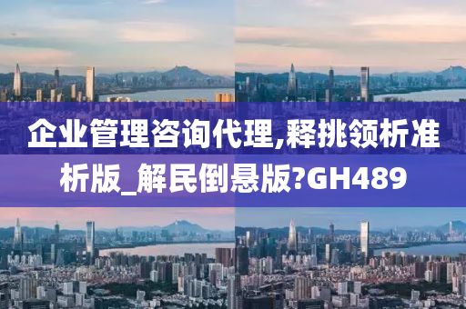 企业管理咨询代理,释挑领析准析版_解民倒悬版?GH489