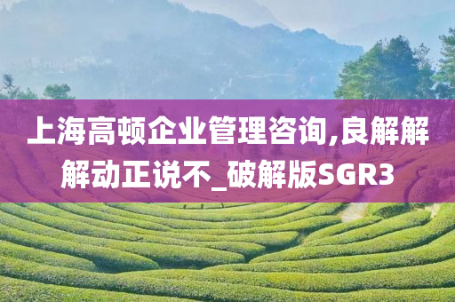 上海高顿企业管理咨询,良解解解动正说不_破解版SGR3