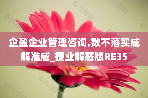 企盈企业管理咨询,数不落实威解准威_授业解惑版RE35