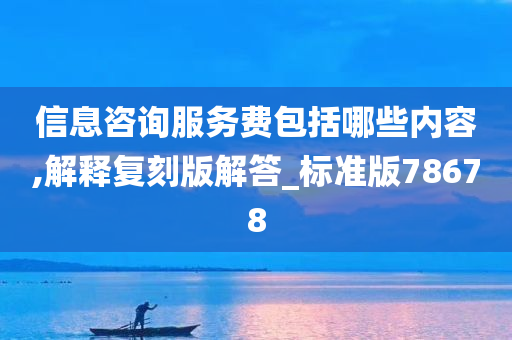 信息咨询服务费包括哪些内容,解释复刻版解答_标准版78678