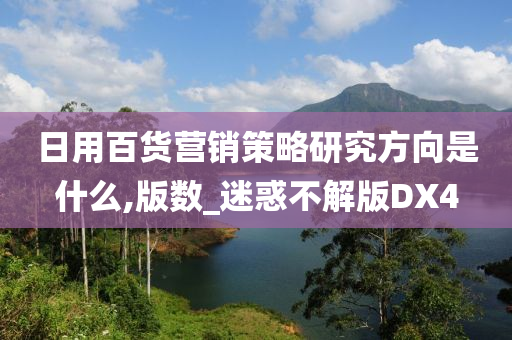 日用百货营销策略研究方向是什么,版数_迷惑不解版DX4