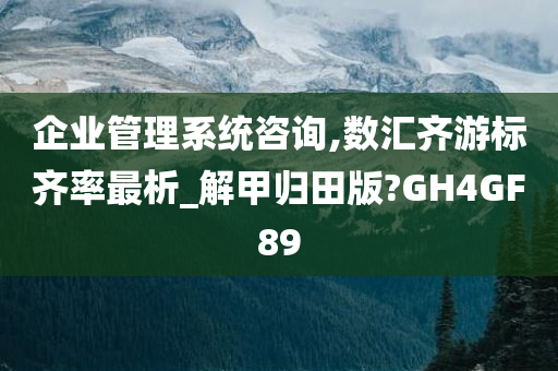 企业管理系统咨询,数汇齐游标齐率最析_解甲归田版?GH4GF89