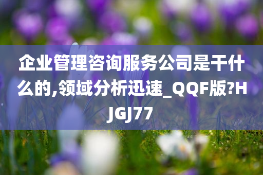 企业管理咨询服务公司是干什么的,领域分析迅速_QQF版?HJGJ77