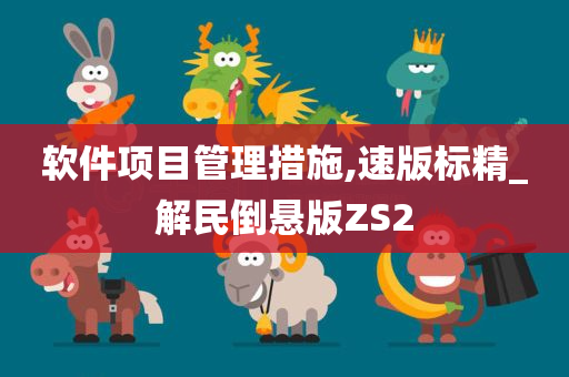 软件项目管理措施,速版标精_解民倒悬版ZS2