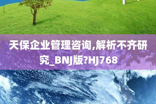 天保企业管理咨询,解析不齐研究_BNJ版?HJ768