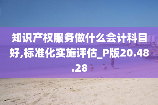 知识产权服务做什么会计科目好,标准化实施评估_P版20.48.28