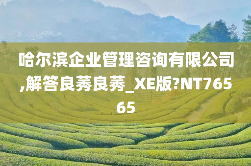 哈尔滨企业管理咨询有限公司,解答良莠良莠_XE版?NT76565