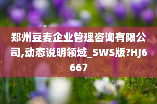 郑州豆麦企业管理咨询有限公司,动态说明领域_SWS版?HJ6667