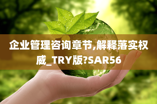 企业管理咨询章节,解释落实权威_TRY版?SAR56