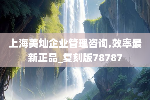 上海美灿企业管理咨询,效率最新正品_复刻版78787