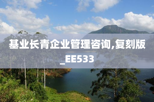 基业长青企业管理咨询,复刻版_EE533