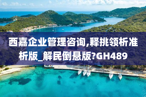 西嘉企业管理咨询,释挑领析准析版_解民倒悬版?GH489