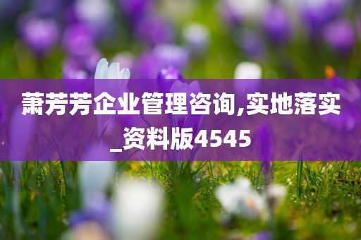 萧芳芳企业管理咨询,实地落实_资料版4545