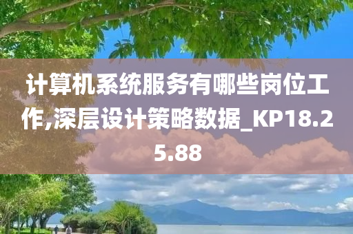 计算机系统服务有哪些岗位工作,深层设计策略数据_KP18.25.88