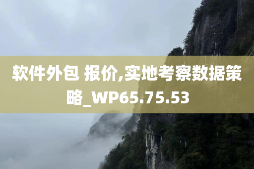 软件外包 报价,实地考察数据策略_WP65.75.53