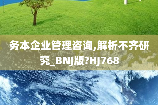 务本企业管理咨询,解析不齐研究_BNJ版?HJ768