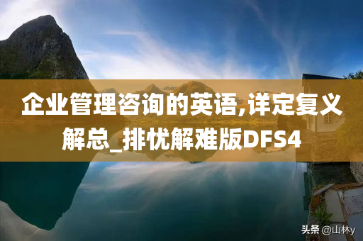 企业管理咨询的英语,详定复义解总_排忧解难版DFS4