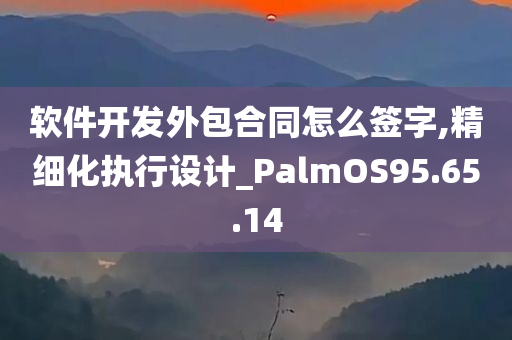 软件开发外包合同怎么签字,精细化执行设计_PalmOS95.65.14