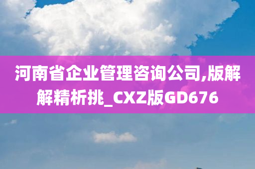 河南省企业管理咨询公司,版解解精析挑_CXZ版GD676