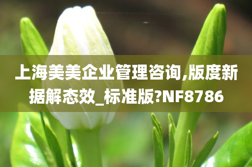 上海美美企业管理咨询,版度新据解态效_标准版?NF8786