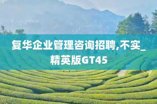 复华企业管理咨询招聘,不实_精英版GT45