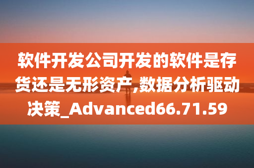 软件开发公司开发的软件是存货还是无形资产,数据分析驱动决策_Advanced66.71.59