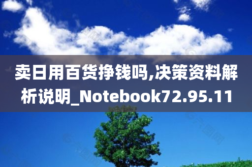 卖日用百货挣钱吗,决策资料解析说明_Notebook72.95.11