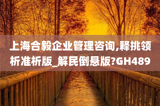 上海合毅企业管理咨询,释挑领析准析版_解民倒悬版?GH489