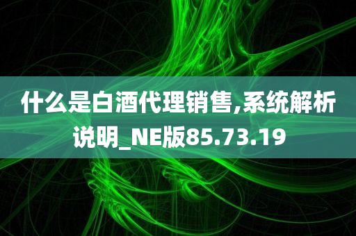 什么是白酒代理销售,系统解析说明_NE版85.73.19