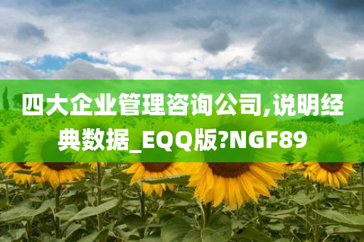 四大企业管理咨询公司,说明经典数据_EQQ版?NGF89