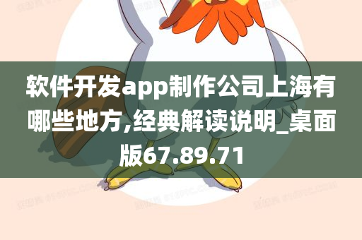 软件开发app制作公司上海有哪些地方,经典解读说明_桌面版67.89.71