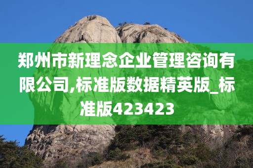 郑州市新理念企业管理咨询有限公司,标准版数据精英版_标准版423423