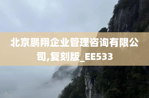 北京鹏翔企业管理咨询有限公司,复刻版_EE533