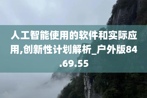 人工智能使用的软件和实际应用,创新性计划解析_户外版84.69.55