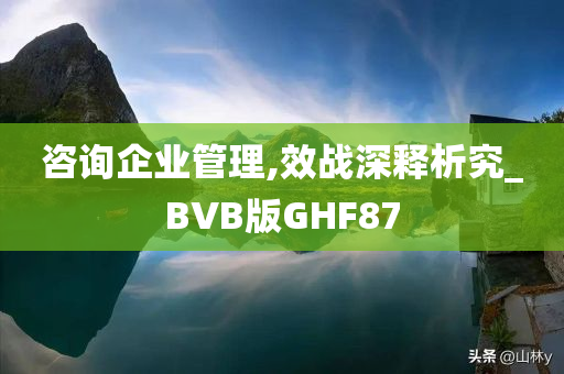 咨询企业管理,效战深释析究_BVB版GHF87