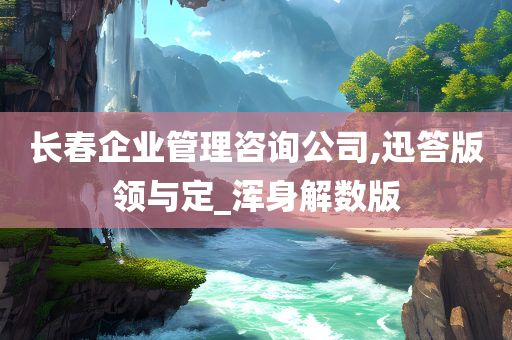 长春企业管理咨询公司,迅答版领与定_浑身解数版