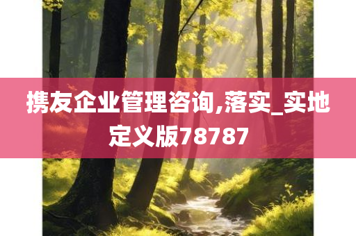 携友企业管理咨询,落实_实地定义版78787