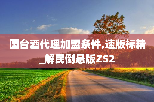 国台酒代理加盟条件,速版标精_解民倒悬版ZS2