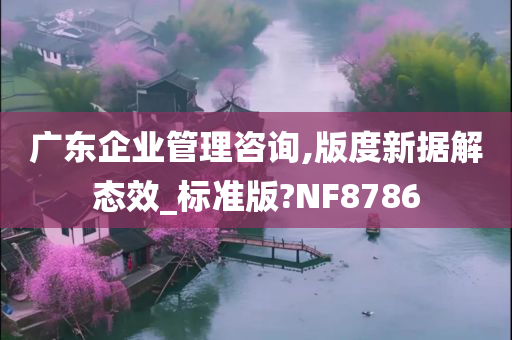 广东企业管理咨询,版度新据解态效_标准版?NF8786