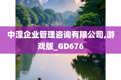 中涅企业管理咨询有限公司,游戏版_GD676