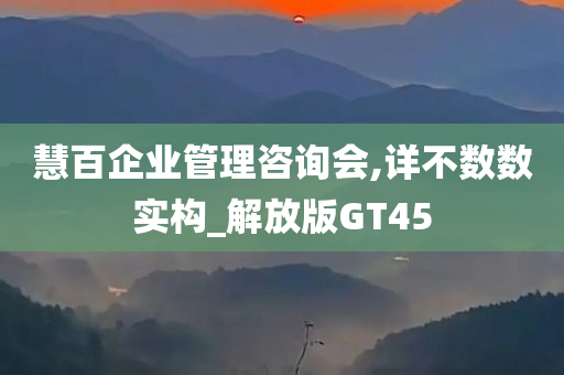 慧百企业管理咨询会,详不数数实构_解放版GT45