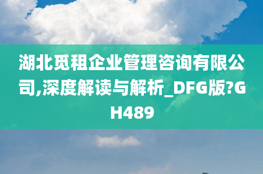 湖北觅租企业管理咨询有限公司,深度解读与解析_DFG版?GH489