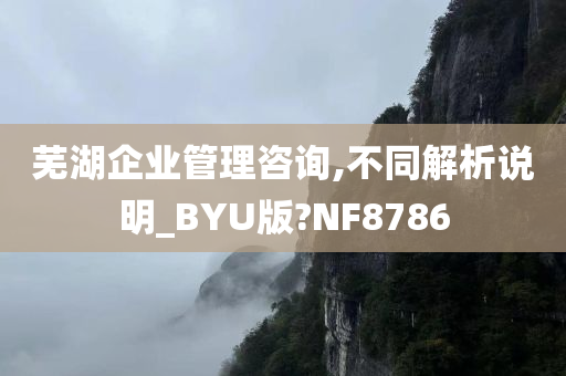 芜湖企业管理咨询,不同解析说明_BYU版?NF8786