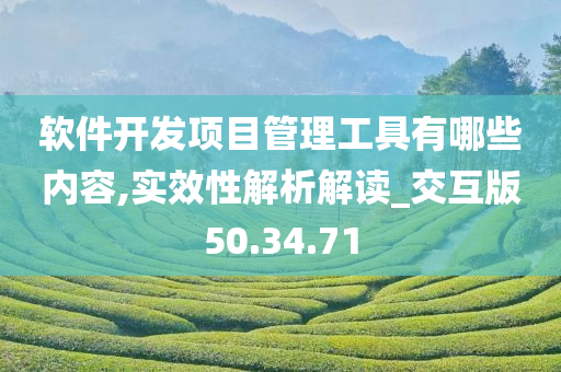 软件开发项目管理工具有哪些内容,实效性解析解读_交互版50.34.71